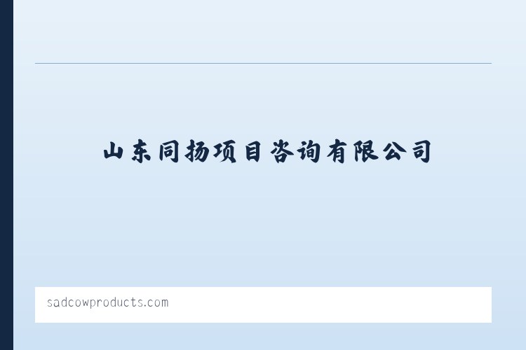 山东同扬项目咨询有限公司 - 相关阅读 列表图